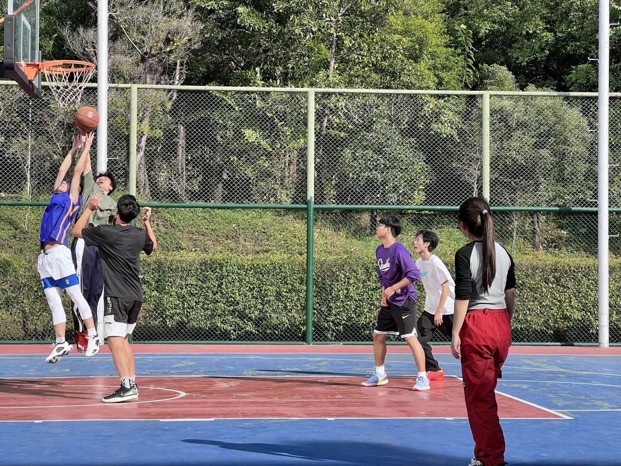 赌博网站
